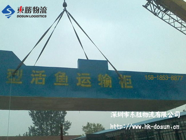 物流活體魚要注意哪些事項(xiàng)？該怎么運(yùn)輸？深圳到香港物流,香港深圳貨運(yùn)運(yùn)輸,深圳香港進(jìn)出口,深港物流專線,中港物流,東勝物流集團(tuán)-大件物流到香港