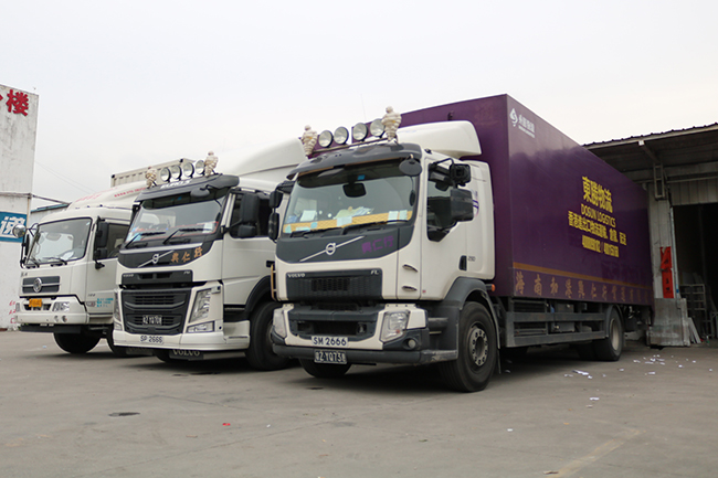 活物運(yùn)輸謹(jǐn)記這5項(xiàng)，讓你的生意越做越火！--深圳市東勝物流；深圳到香港物流,香港深圳貨運(yùn)運(yùn)輸,深圳香港進(jìn)出口,深港物流專線,中港物流,東勝物流集團(tuán)