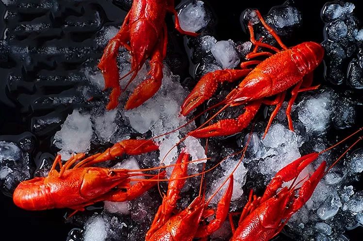 怎樣提高小龍蝦長途運輸中的成活率？深圳到香港物流,香港物流專線,深圳香港進出口,中港物流,香港深圳貨運運輸-深圳市東勝物流有限公司