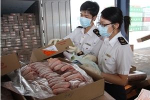 深圳凍肉進口報關(guān)公司；深圳到香港物流-深圳東勝物流