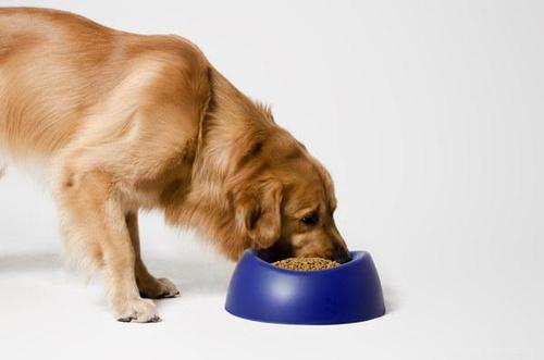 進口寵物糧清關(guān)